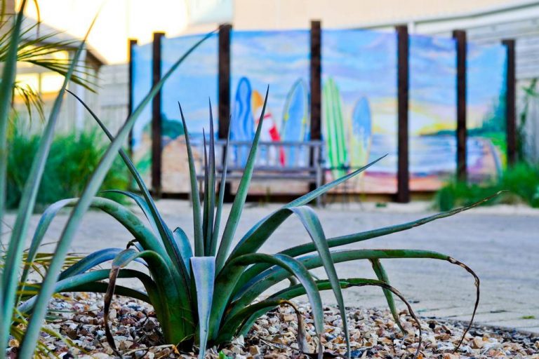 Whitesbeach Guesthouse - Garden