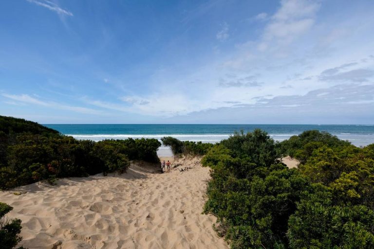 Whitesbeach Guesthouse - Torquay Beach