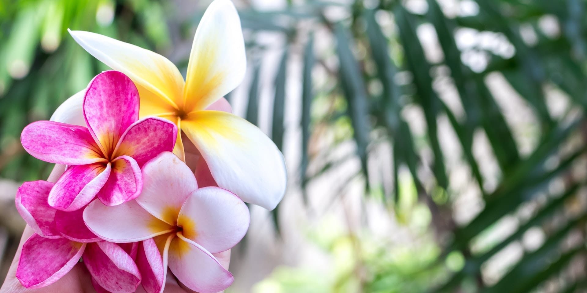 Whitesbeach Guesthouse residents enjoy 10 percent discount Endota Whitesbeach Guesthouse residents enjoy 10 percent discount Endota
